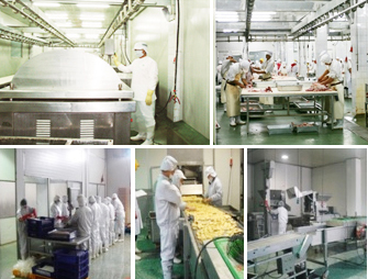 火腿腸生產(chǎn)設備